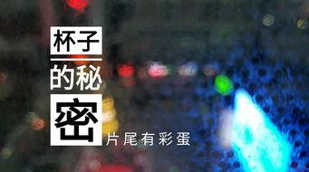 山东饭店爆料视频最新版,揭露惊人内幕，真相令人震惊！  第2张